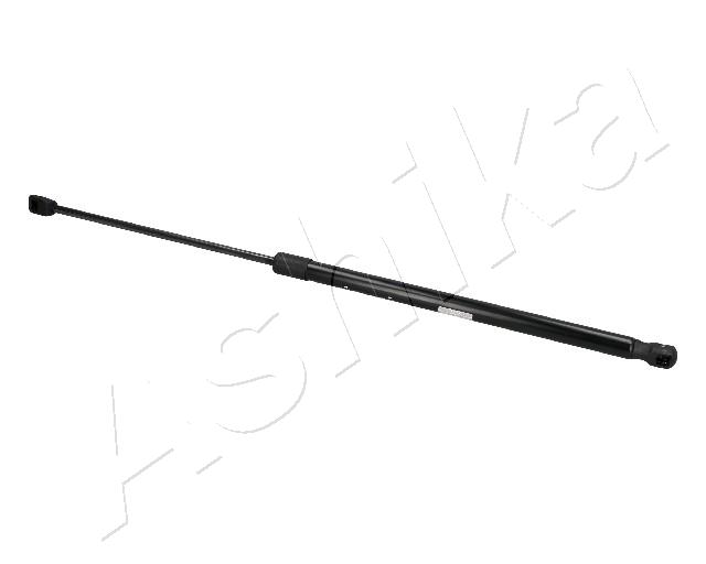 ZSA04031