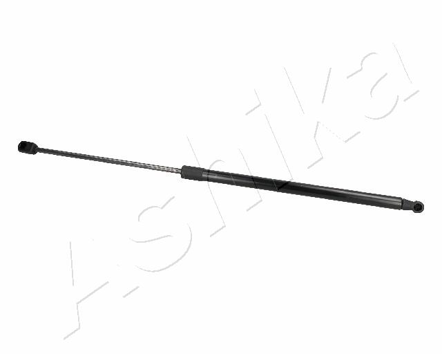 ZSA06013