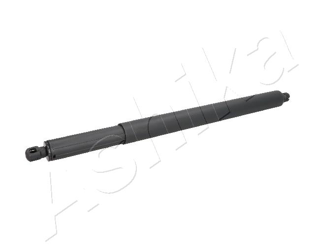 ZSA01100