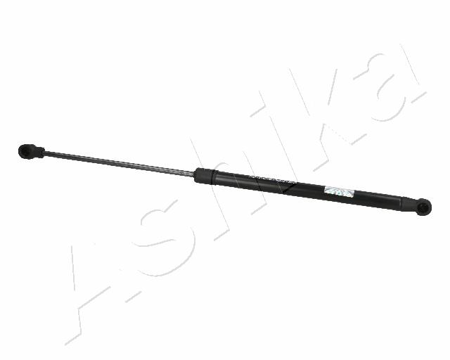 ZSA06095