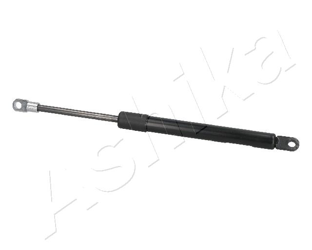 ZSA09096