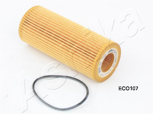 10-ECO107