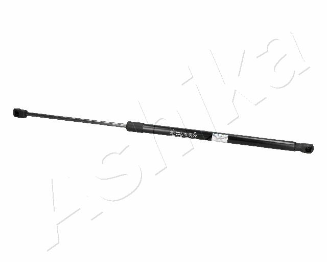 ZSA06100