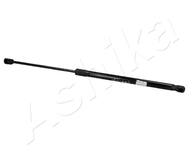 ZSA06029