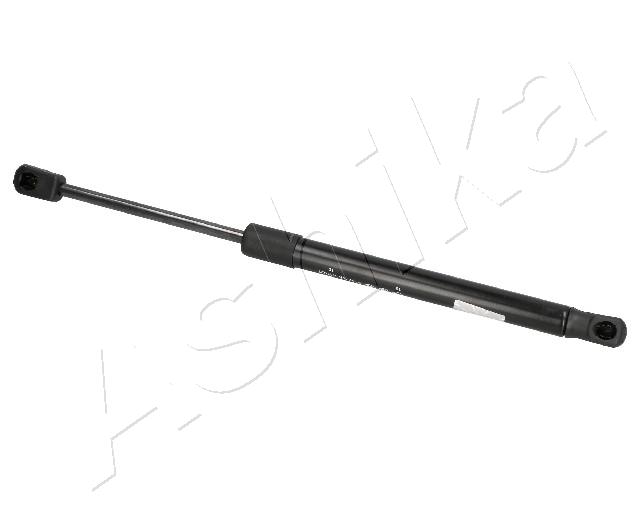 ZSA09010
