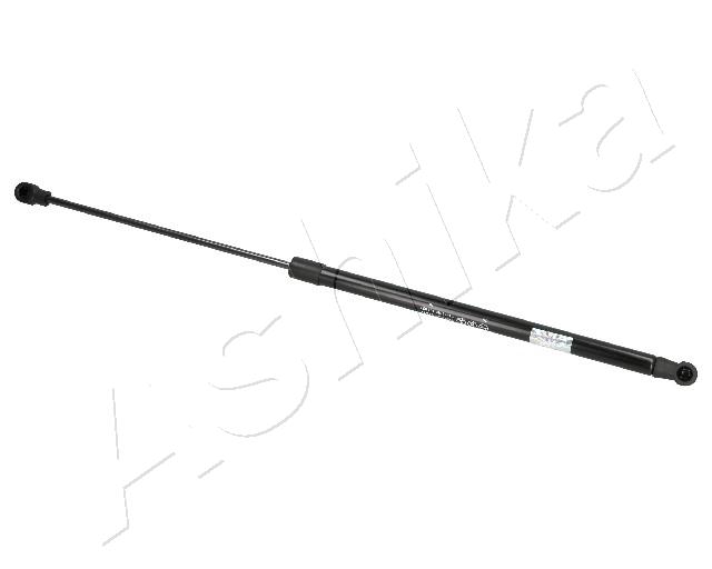 ZSA07021