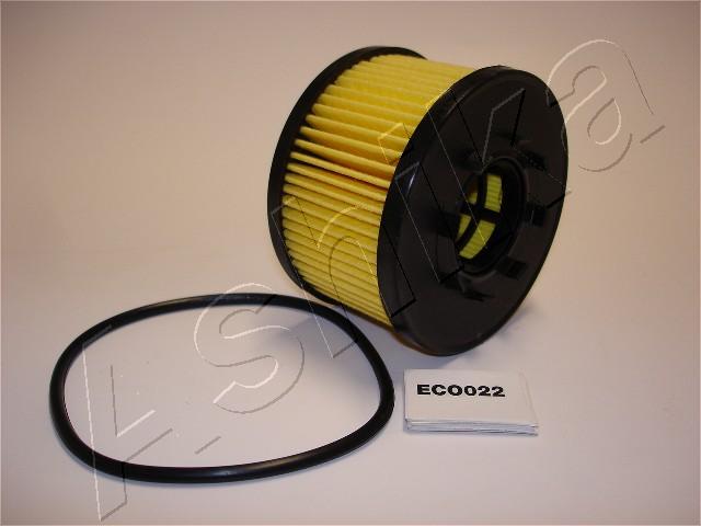 10-ECO022