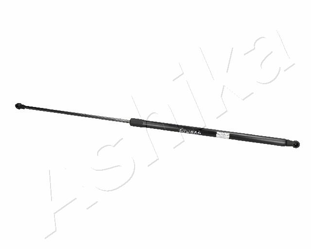 ZSA01024
