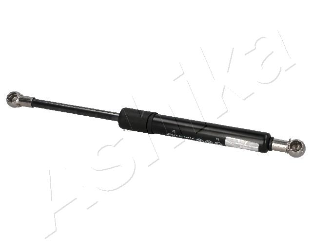 ZSA09017