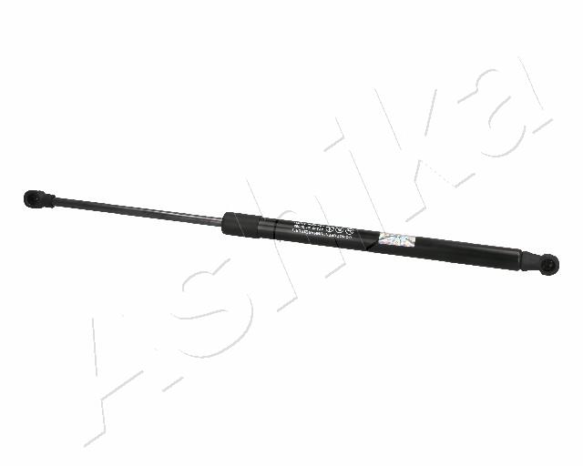 ZSA02065