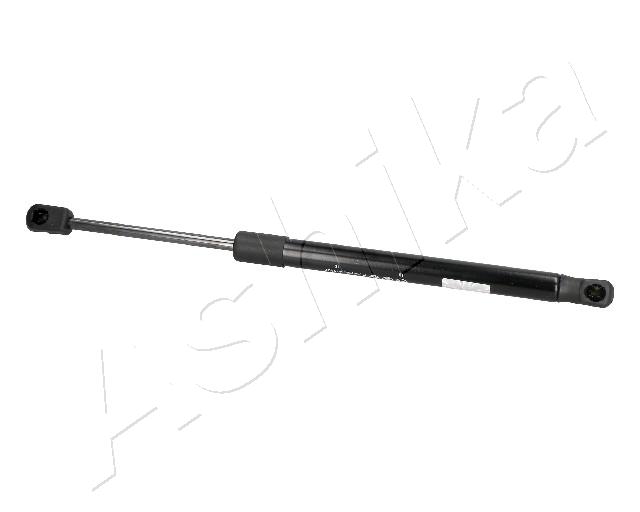 ZSA09205