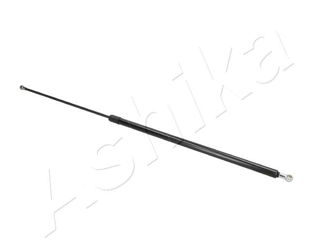ZSA09119