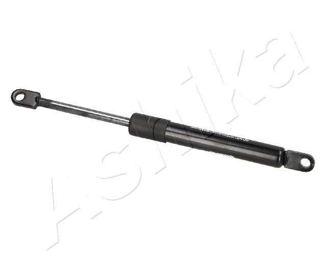 ZSA09131