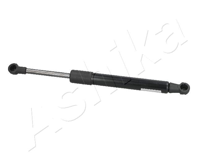 ZSA09050