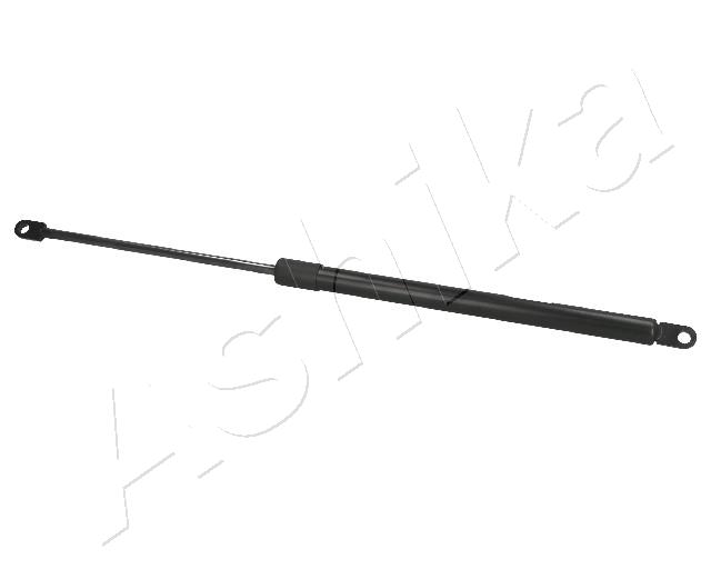 ZSA01060