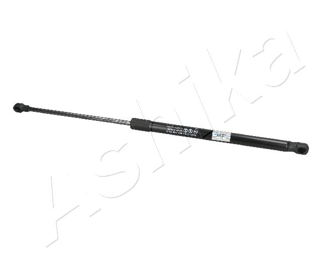 ZSA09116