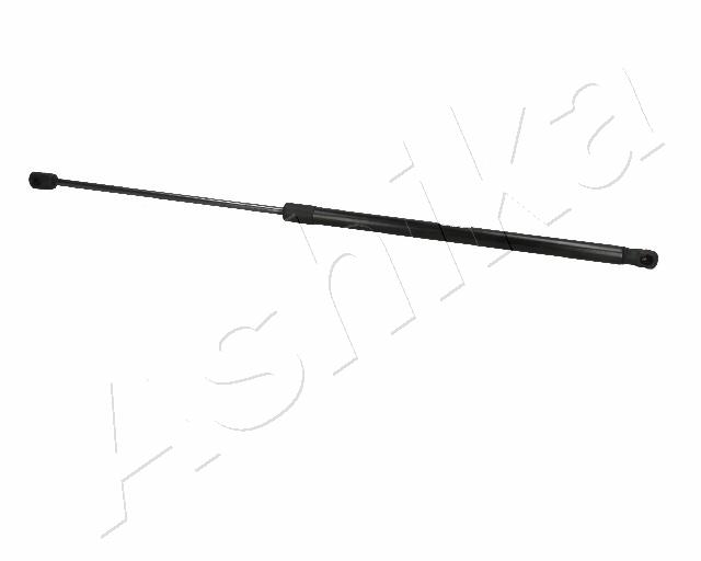 ZSA06073