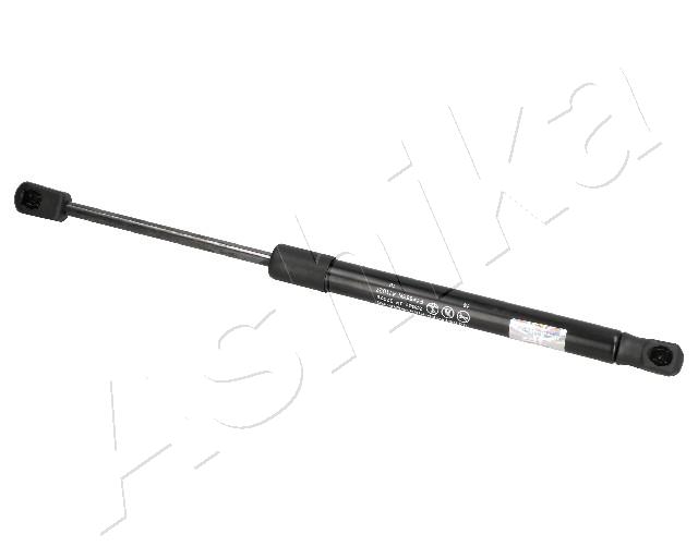 ZSA07028