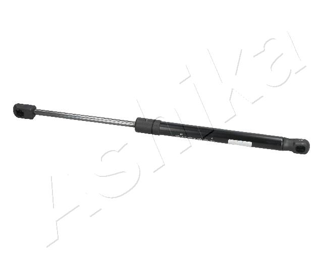ZSA09040