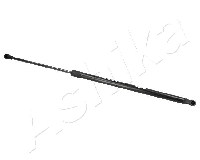 ZSA07019