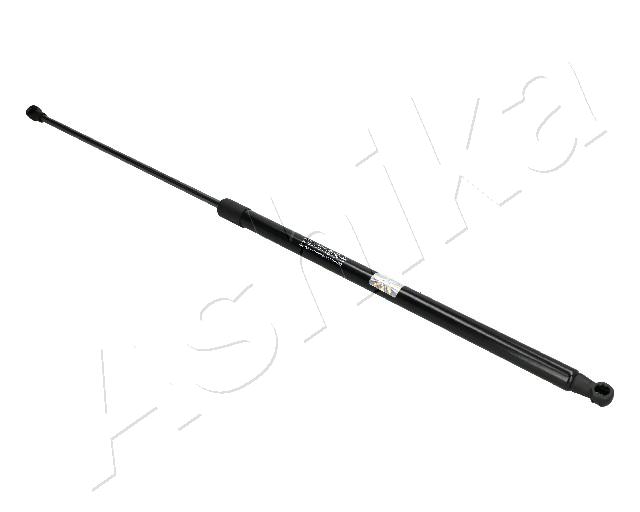 ZSA03098