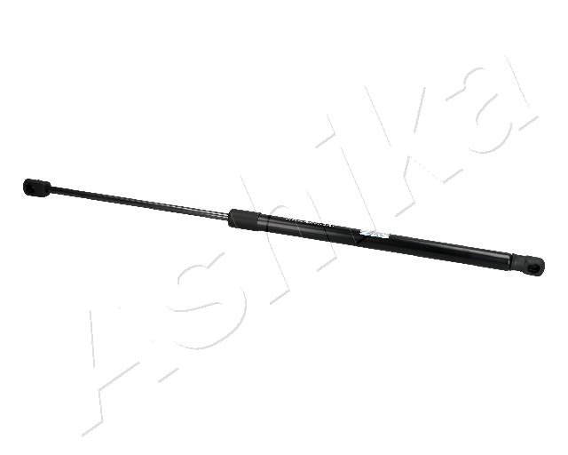 ZSA03063