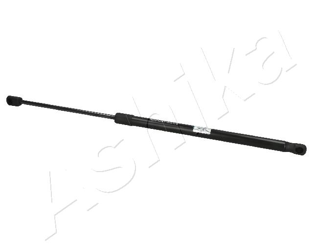ZSA06009