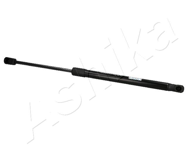 ZSA06018