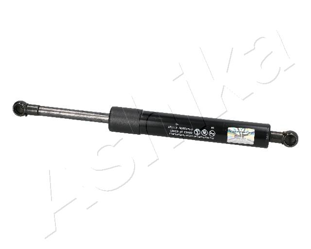 ZSA03095