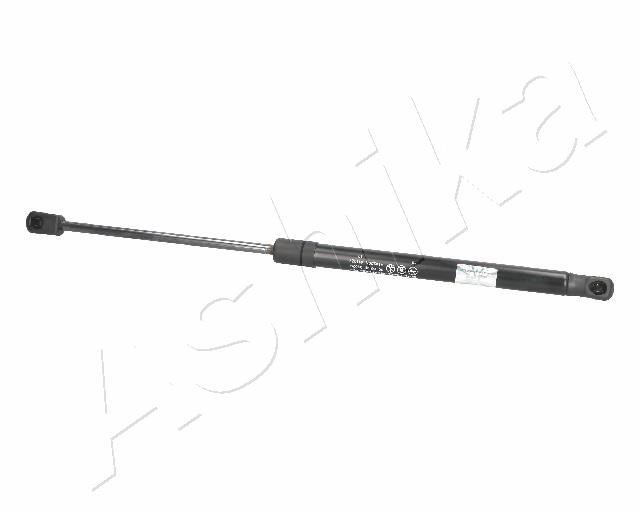 ZSA02029
