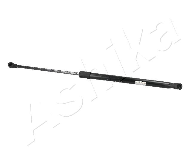 ZSA09024