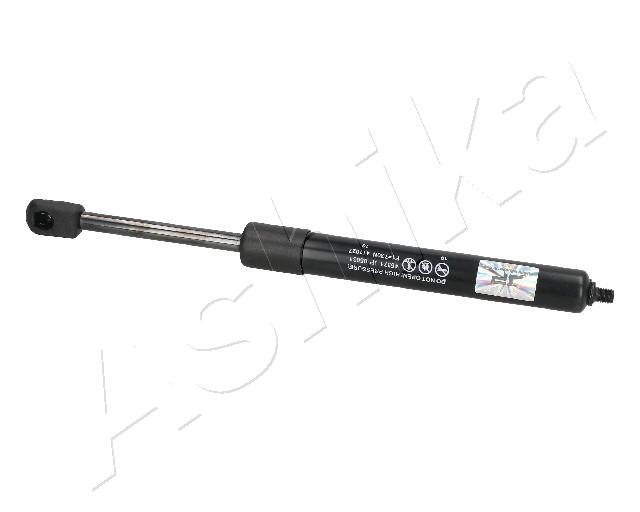 ZSA05031