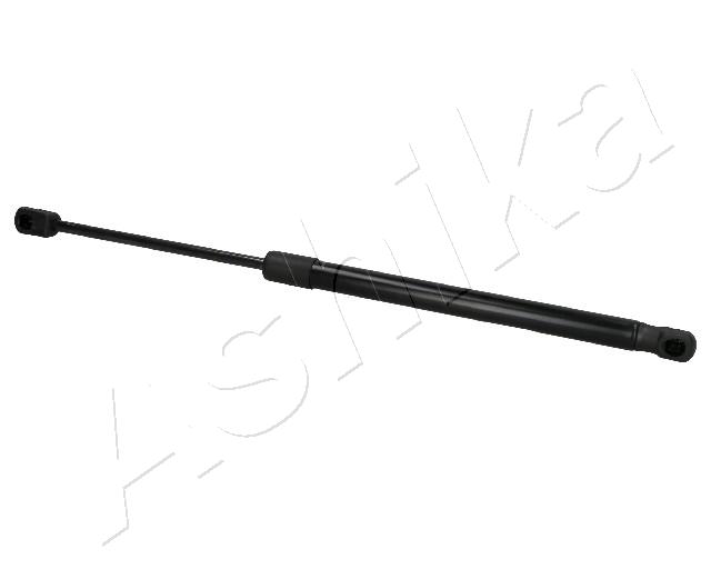 ZSA01090