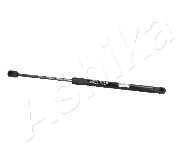 ZSA09093
