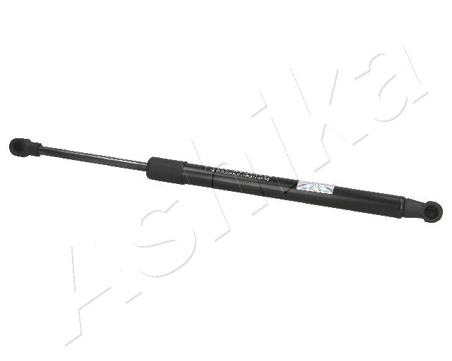 ZSA01006