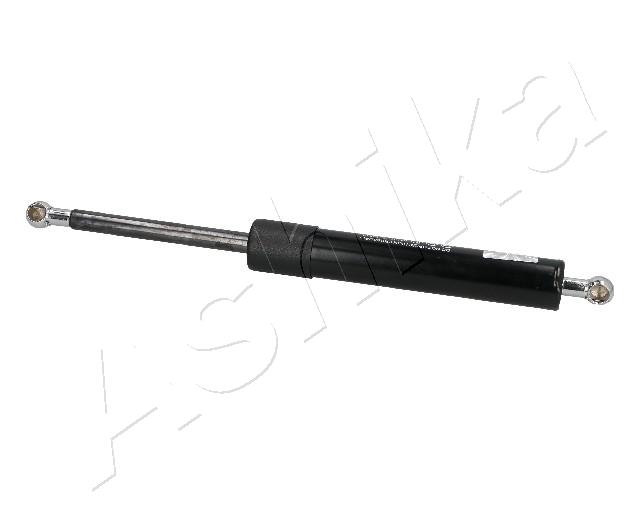 ZSA05019