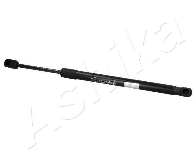 ZSA07079