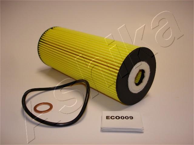 10-ECO009