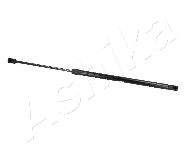 ZSA10013