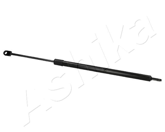 ZSA01070