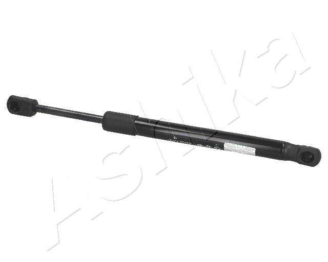 ZSA01002