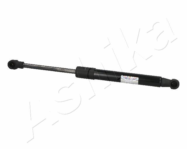 ZSA06103