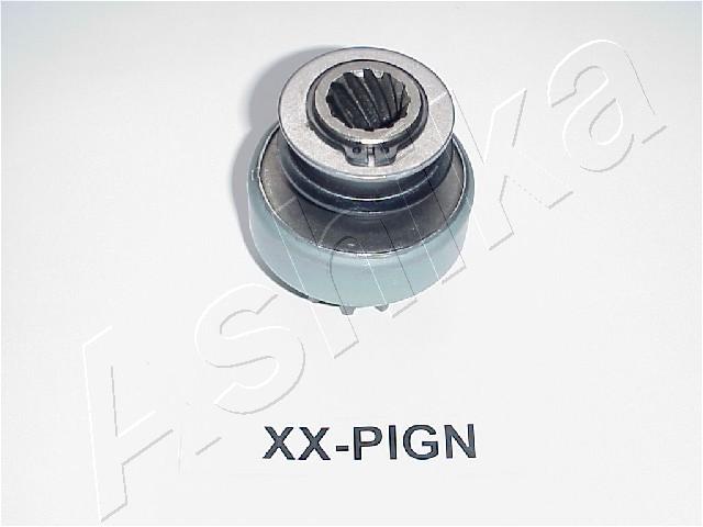 CP-PIGN