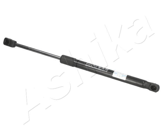 ZSA02019