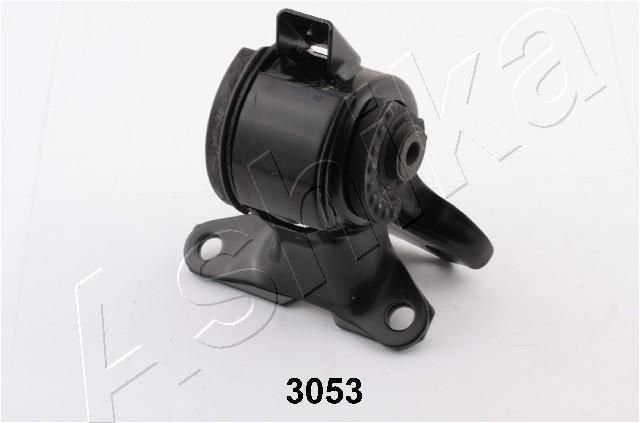 GOM-3053
