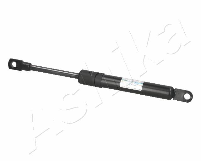 ZSA03066