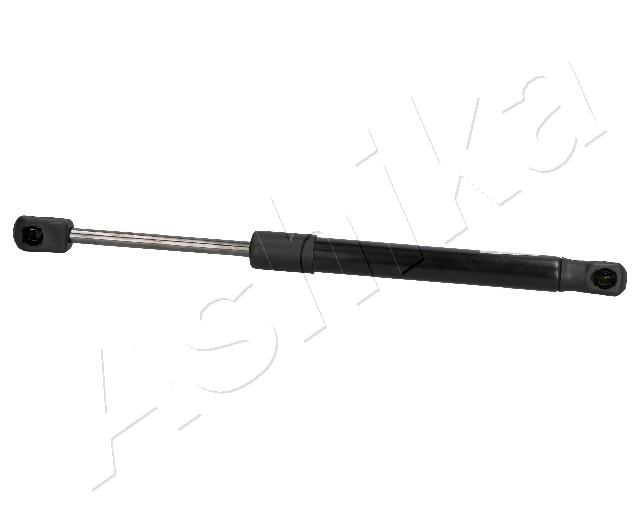 ZSA02090