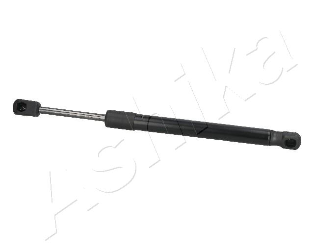 ZSA09058