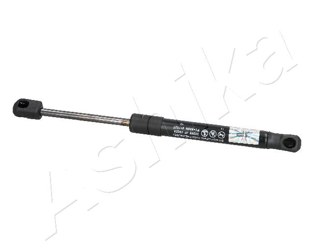 ZSA09095