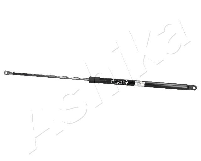 ZSA02071